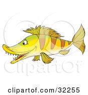 Poster, Art Print Of Yellow And Brown Fish With Sharp Teeth