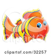 Clipart Illustration Of A Cute Blue Eyed Orange Fish With Yellow And Blue Stripes