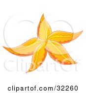 Poster, Art Print Of Yellow And Orange Starfish