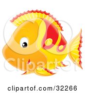 Clipart Illustration Of An Adorable Orange Yellow And Red Fish Smiling While Swimming Past
