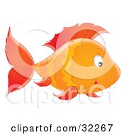 Poster, Art Print Of Cute Orange Striped Fish With Red Fins Swimming To The Right