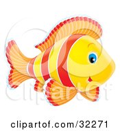 Poster, Art Print Of Cute Blue Eyed White Red Orange And Yellow Fish