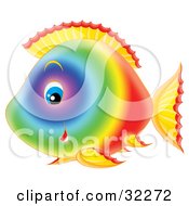 Poster, Art Print Of Cute Rainbow Colored Fish With Blue Eyes Smiling At The Viewer