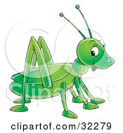 Poster, Art Print Of Cute And Friendly Green Grasshopper Glancing At The Viewer