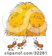 Clipart Illustration Of A Group Of Ants Socializing Near A Hay Stack