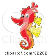 Cute Red Seahorse With Yellow Fins Facing Left And Smiling At The Viewer