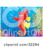 Poster, Art Print Of Friendly Red And Yellow Seahorse With Bubbles Swimming Over A Coral Reef