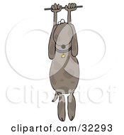 Clipart Illustration Of A Helpless Brown Dog Hanging From A Wire