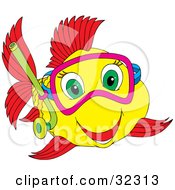 Poster, Art Print Of Happy Green Eyed Yellow And Red Fish Snorkeling