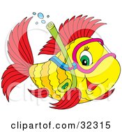 Poster, Art Print Of Friendly Green Eyed Yellow And Red Fish Snorkeling