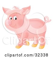 Clipart Illustration Of A Proud Curly Tailed Pink Pig Standing In Profile by Alex Bannykh