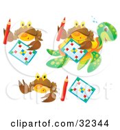 Poster, Art Print Of Set Of Three Brown Crabs With Word Puzzles And Pencils One Shown On A Sea Turtles Back