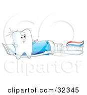 Clipart Illustration Of A Sparkling White Tooth Character Standing By A Toothbrush And Tube Of Toothpaste by Alex Bannykh