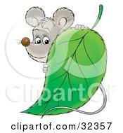 Poster, Art Print Of Cute Gray Mouse Standing Behind A Green Leaf