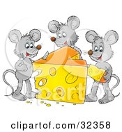 Three Gray Mice Dining On A Big Wedge Of Swiss Cheese