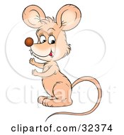 Clipart Illustration Of A Cute Beige Mouse With A Long Tail Gesturing And Facing To The Left by Alex Bannykh