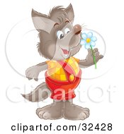 Poster, Art Print Of Happy Wolf In Shortalls Holding A Spring Daisy Flower