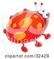 Cute Red Ladybug With Orange Spot Marks On Its Wings
