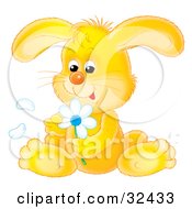 Cute Yellow Bunny Rabbit Sitting And Picking Petals Off Of A White Daisy Flower