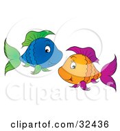 Poster, Art Print Of Blue Fish With Green Fins Swimming With An Orange Fish With Purple Fins