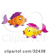 Poster, Art Print Of Two Orange Yellow And Purple Fish Swimming Together With Puckered Lips