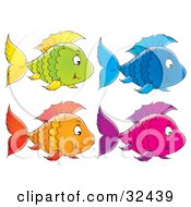 Poster, Art Print Of Green Fish With Yellow Fins Blue Fish Purple And Pink Fish And An Orange Fish Swimming