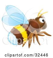Poster, Art Print Of Hairy Brown White And Yellow Bumble Bee Flying