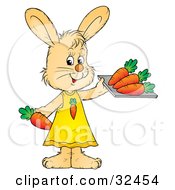 Poster, Art Print Of Female Beige Bunny In A Dress Holding A Tray Of Healthy Carrots