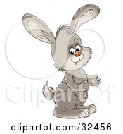 Clipart Illustration Of A Gray Bunny Rabbit Gesturing With His Hands Facing To The Right