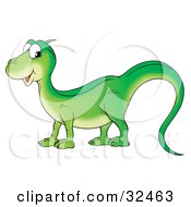 Poster, Art Print Of Friendly Green Lizard With A Long Tail Glancing At The Viewer