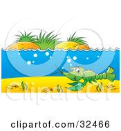 Poster, Art Print Of Green Crawdad Swimming At The Bottom Of A Blue River