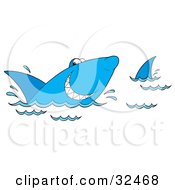 Poster, Art Print Of Grinning Blue Shark Swimming At The Surface Of Water