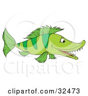Poster, Art Print Of Green Fish With Stripes And Sharp Teeth Swimming In Profile