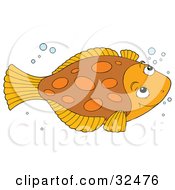 Cute Brown And Orange Flounder Fish Swimming With Bubbles