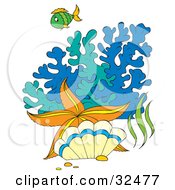 Green Fish Orange Starfish And Clam By Colorful Blue And Green Corals