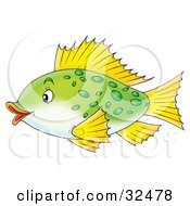 Poster, Art Print Of Cute Green Spotted Fish With Yellow Fins Swimming With Its Lips Puckered