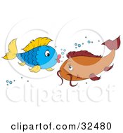 Poster, Art Print Of Pretty Blue And Yellow Fish Flirting With A Brown Fish With A Mustache