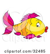 Poster, Art Print Of Scalloped Patterned Orange And Yellow Fish With Purple Fins And Puckered Lips