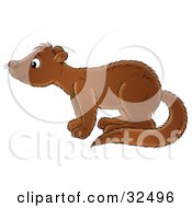 Poster, Art Print Of Curious Brown Mink In Profile Facing Left And Sniffing The Air
