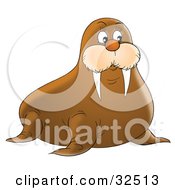 Cute Brown Walrus With Short But Sharp Tusks