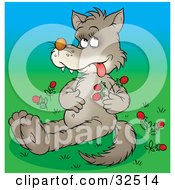 Poster, Art Print Of Sick Wolf Rubbing His Tummy After Eating Too Many Wild Strawberries