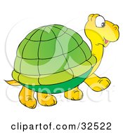 Cute Yellow Tortoise With A Green Shell Walking To The Right