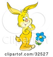 Clipart Illustration Of A Cute Yellow Rabbit Admiring A Blue Spring Flower