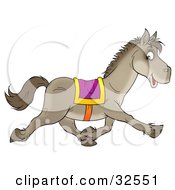Happy Gray Saddled Horse Glancing At The Viewer While Running Past
