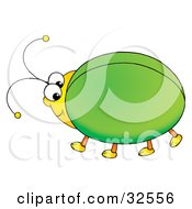 Cute And Chubby Green Beetle With A Yellow Head