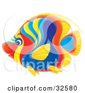 Vibrantly Colored Red Blue Yellow And Orange Angelfish In Profile
