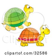 Two Yellow Turtles With Green And Orange Shells