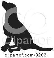 Poster, Art Print Of Seated Dog Silhouetted In Black