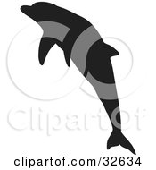 Poster, Art Print Of Leaping Dolphin Silhouetted In Black