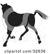 Poster, Art Print Of Trotting Black Silhouetted Horse